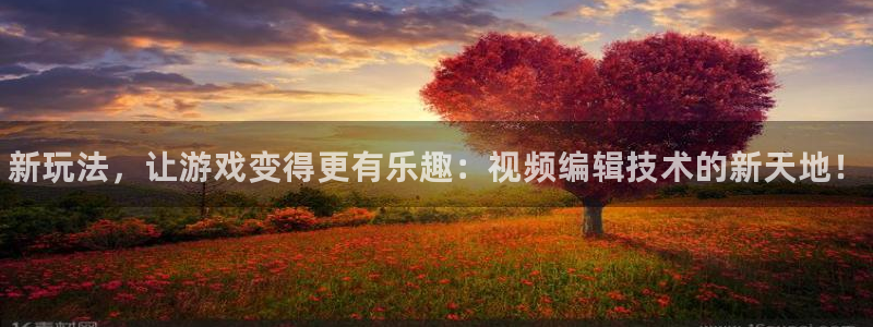 辉达娱乐注册平台