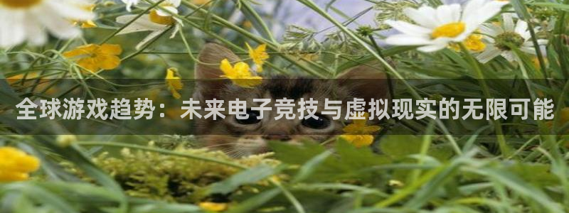 辉达娱乐官方登录网址：全球游戏趋势：未来电子竞技与虚拟现实的