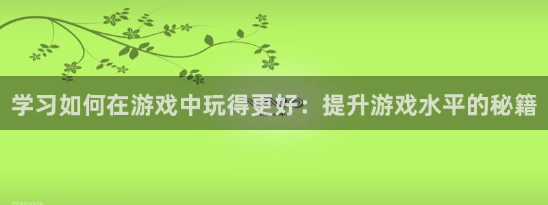 辉达娱乐什么意思：学习如何在游戏中玩得更好：提升游戏水平的秘