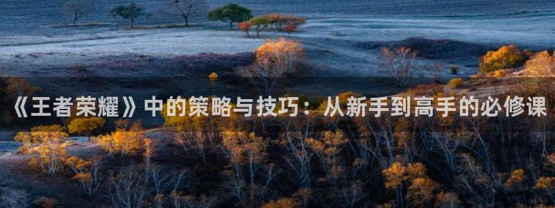 辉达娱乐注册登录：《王者荣耀》中的策略与技巧：从新手到高手的