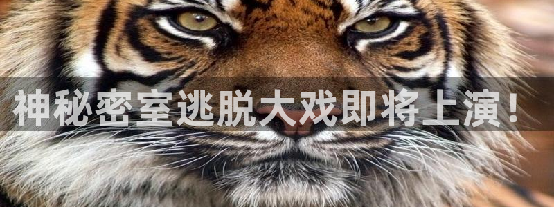 辉达娱乐官网登录：神秘密室逃脱大戏即将上演！
