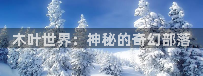 辉达娱乐什么意思：木叶世界：神秘的奇幻部落