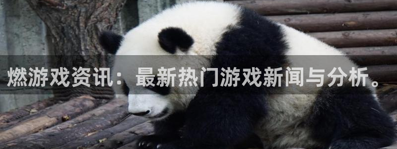 辉达娱乐测速：燃游戏资讯：最新热门游戏新闻与分析。